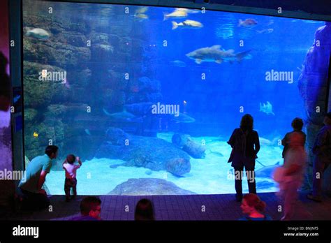 Norfolk aquarium - 50% off admission to over 150 other zoos and aquariums nationwide** Special monthly discounts, offers and rewards throughout the year. View here! Give a Gift Membership to Someone. Start or Renew Your Membership. Membership Levels. ... 3500 Granby St Norfolk, VA 23504 (757) 441-2374
